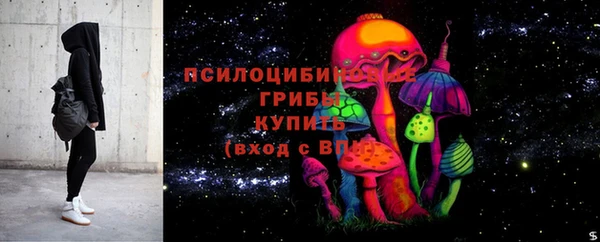 ПСИЛОЦИБИНОВЫЕ ГРИБЫ Струнино