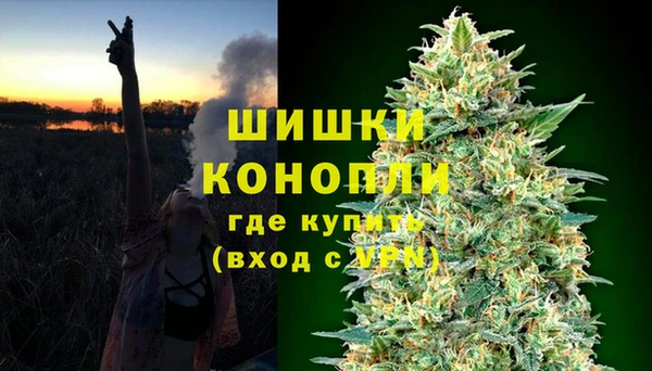 ПСИЛОЦИБИНОВЫЕ ГРИБЫ Струнино