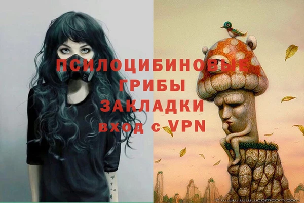 МДПВ Гусиноозёрск