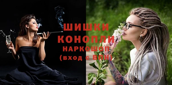 шишки Горнозаводск