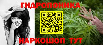 МДПВ Волжск
