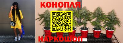 apvp Волгодонск