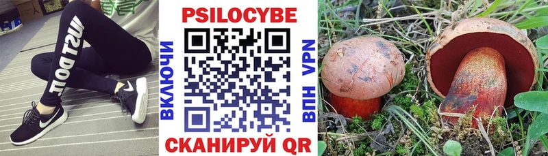 Галлюциногенные грибы ЛСД блэк спрут ссылки Зеленодольск