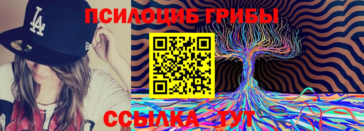 Зеленодольск  Галлюциногенные грибы Magic Shrooms  Вход с VPN  Псилоцибиновые грибы MAGIC MUSHROOMS 