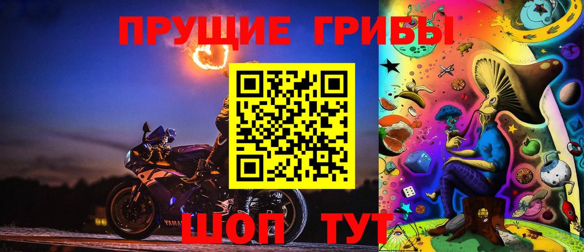 Псилоцибиновые грибы GOLDEN TEACHER Зеленодольск