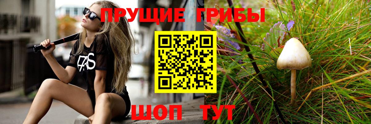 Псилоцибиновые грибы ЛСД Зеленодольск