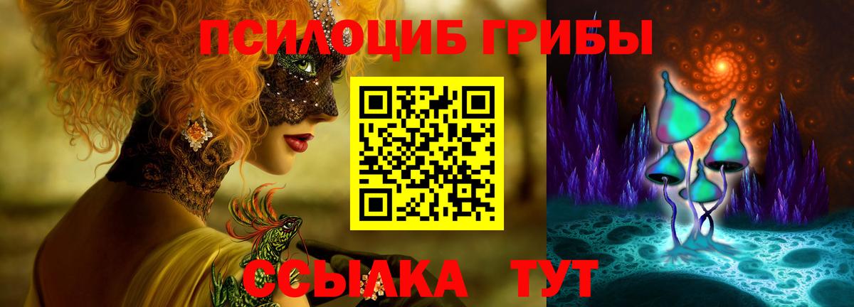Галлюциногенные грибы Psilocybe  Псилоцибиновые грибы мухоморы  Зеленодольск 