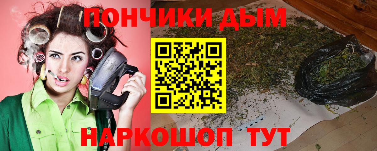 Бошки Шишки ГИДРОПОН  Вход с VPN  Бошки марихуана гибрид  Зеленодольск  Конопля индика  Конопля White Widow 